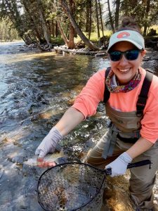 cutthroat trout in the gallatin river