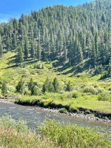 grassy meadow with waterfalls on the Gallatin River