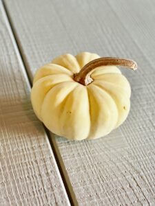 a mini white pumpkin