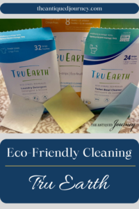 a photo of Tru Earth cleaning products