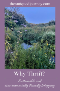 a field of wildflowers at dusk