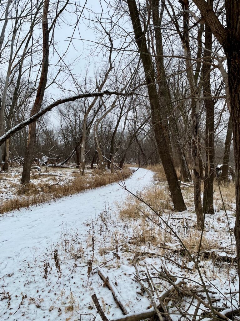 winter trail in the woods