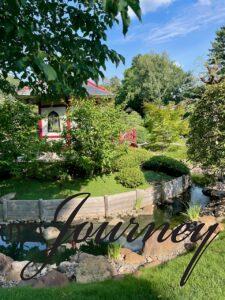 Japanese garden in Summer