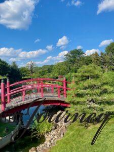 a Japanese garden scene