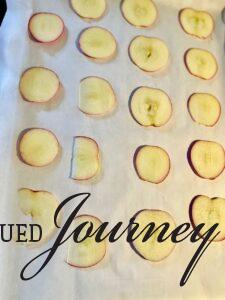 sliced apples on baking tray for drying