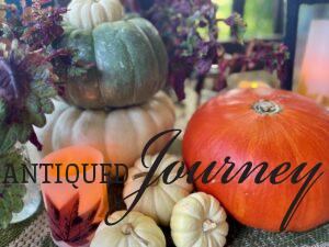 harvest pumpkins for fall patio decor