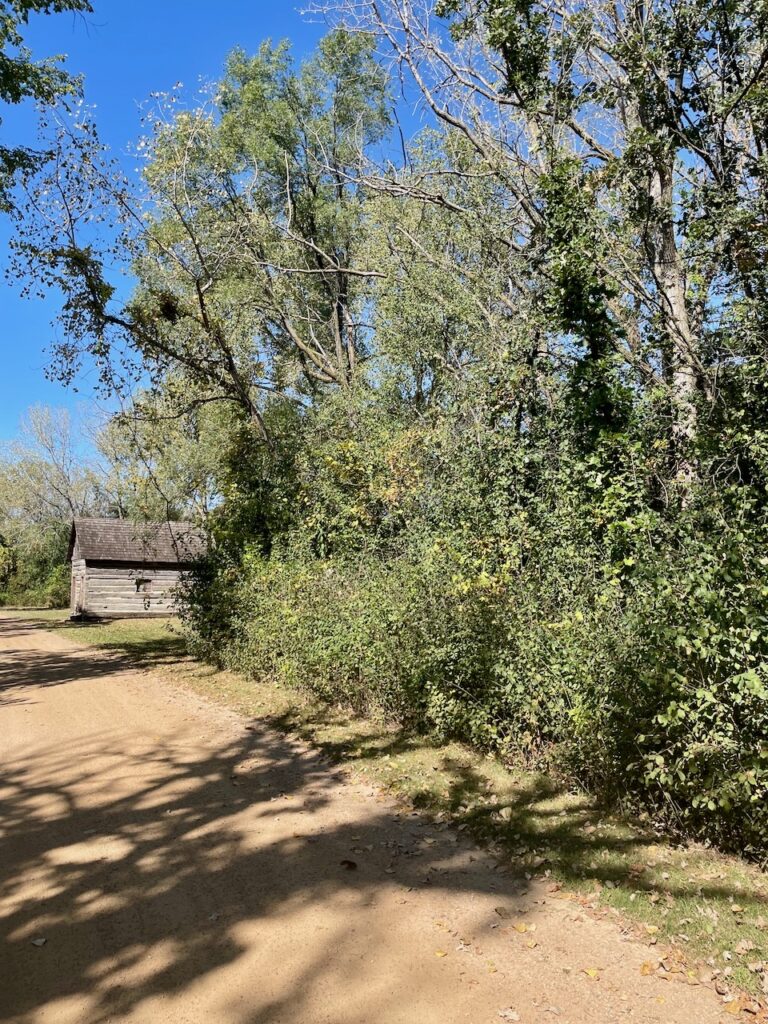 journey jots #49 with old building in woods