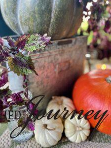 galvanized bucket for fall patio decor