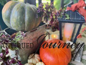 fall patio decor with plants