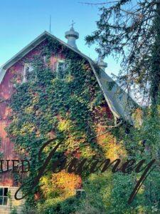 red barn with vines 