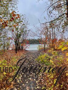 fall leaves on shore of Lake Superior