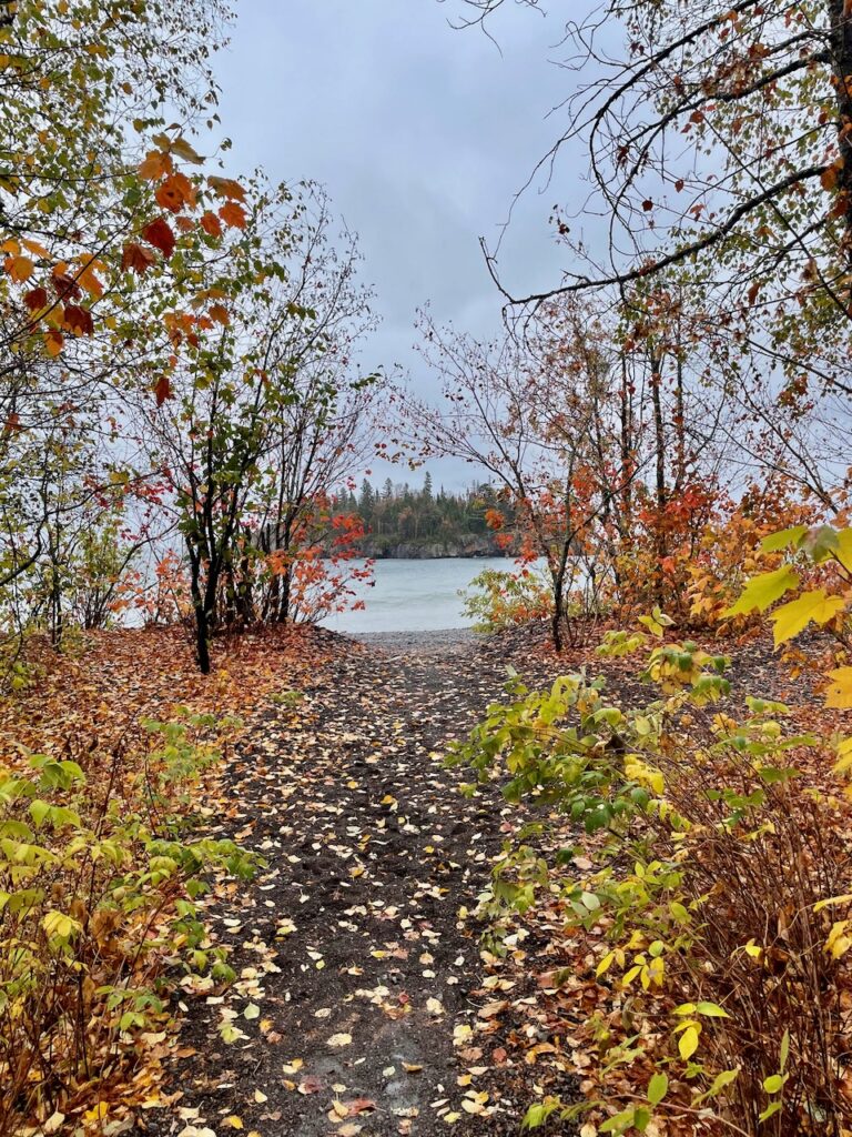 fall leaves along the shore of Lake Superior