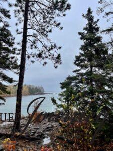 pine trees in a fall forest overlooking lake Superior