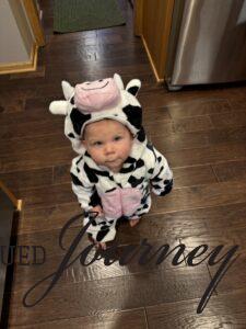 Molly cow costume for Halloween