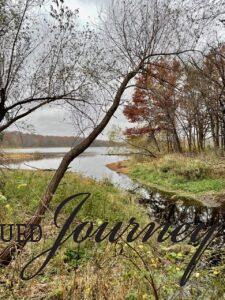 a lake in Minnesota in November