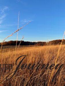 prairie view at dusk