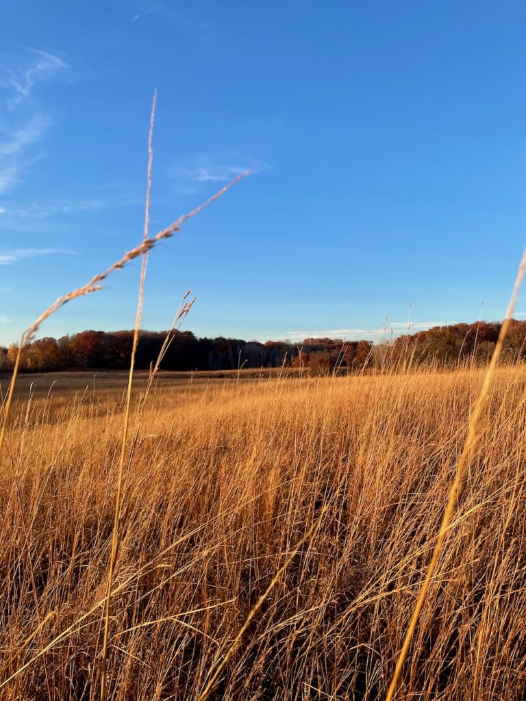 a prairie view at dusk journey jots #56