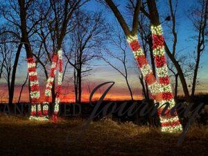 Christmas lights on trees lit up at sunset