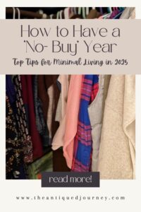 a closet full of clothing for no-buy year