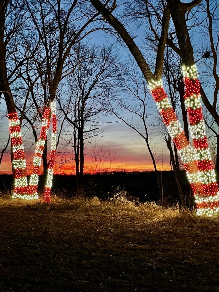 Journey Jots #60 candy cane lights on a tree at dusk