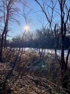 an iced over pond in winter in the woods