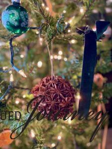 a finished eco-friendly DIY ornament using natural materials