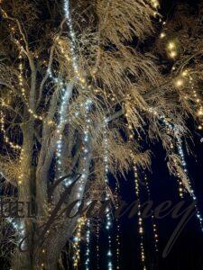 a willow tree covered in white twinkle lights for Christmas