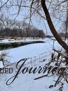 a snowy river scene in the woods