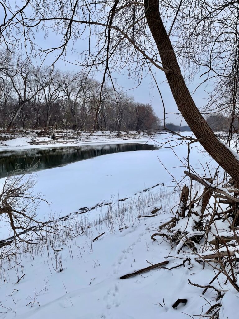 snowy river scene through the woods Journey Jots #63