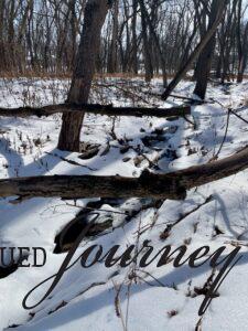 snowy stream in late winter