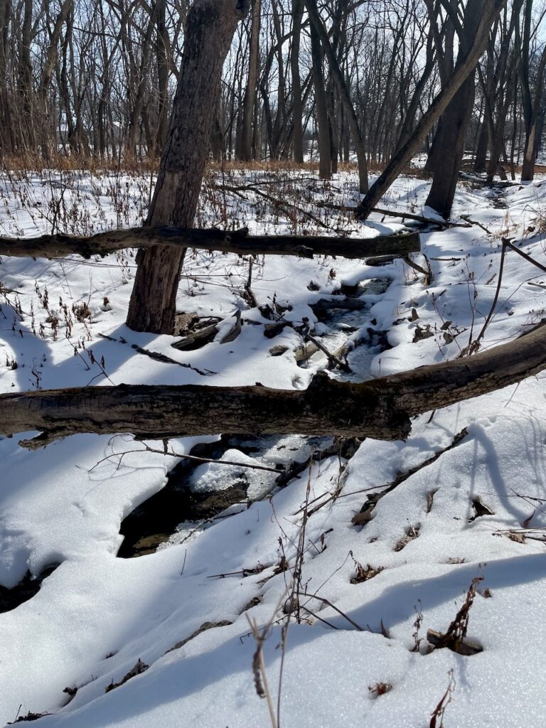 a snowy stream in the woods
