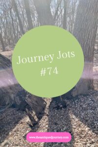 Journey Jots #74 newsletter from The Antiqued Journey