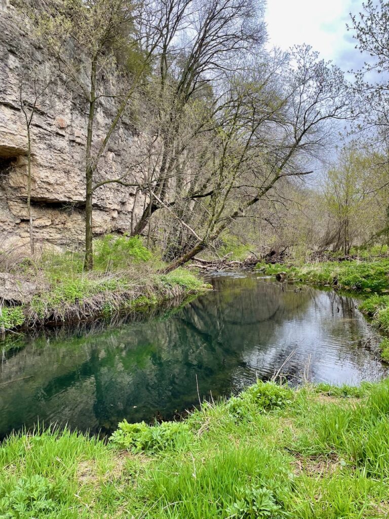 a creek in Spring