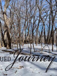 snowy woods in later winter
