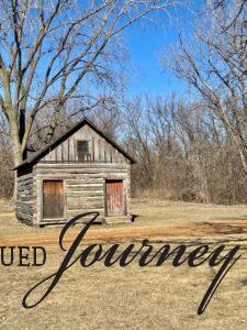 a sunny day for a walk