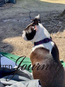 grabbing warm sun outside