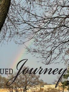 rainbow after a Spring thunderstorm