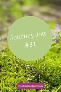 journey jots #81 weekly newsletter from The Antiqued Journey