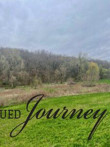 staying at an Airbnb in the country