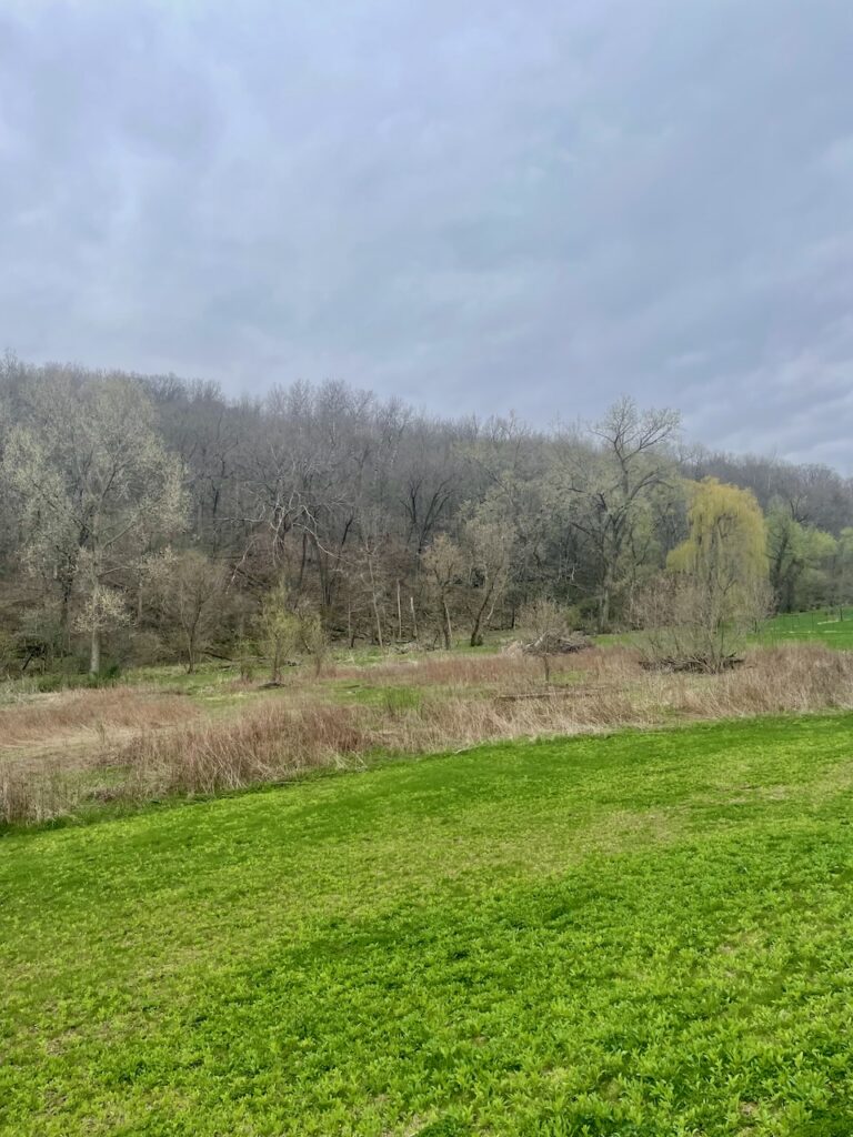 journey jots #78 country living