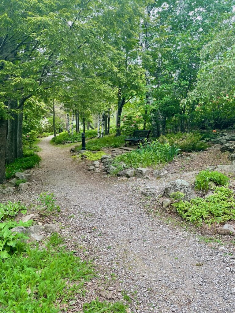 a park in Duluth