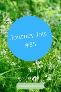 weekly newsletter from The Antiqued Journey