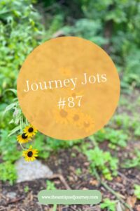 journey jots #87 weekly newsletter The Antiqued Journey