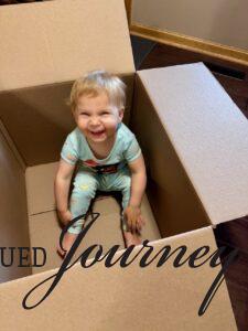 Molly playing in a box