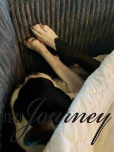 Tilly sleeping on the couch