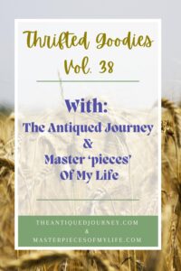 Thrifted Goodies Volume 38 from The Antiqued Journey