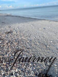 ocean sunrise with shells