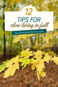 finding peace in autumn