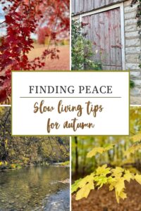 fall sights for a slow season