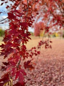 finding peace for myself